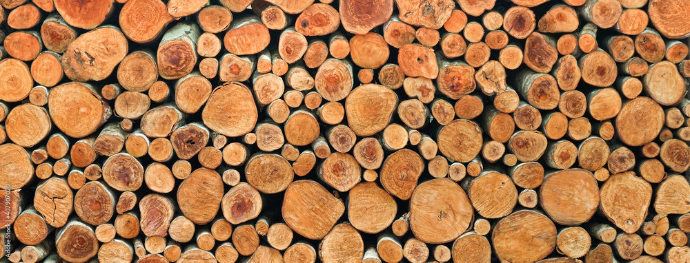 wall of wood stump background wall of wood stump background