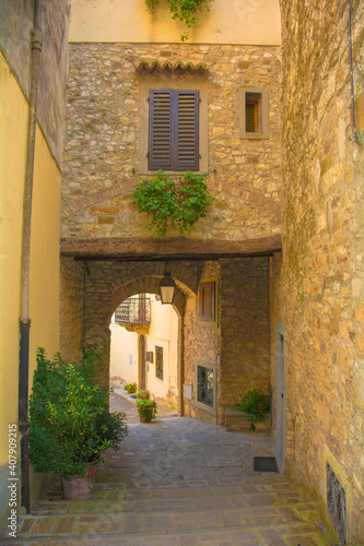 Fototapeta Naklejka Na Ścianę i Meble -  A stone archway across a quiet residential street in the historic medieval village of Montefioralle near Greve in Chianti in Florence province, Tuscany, Italy
