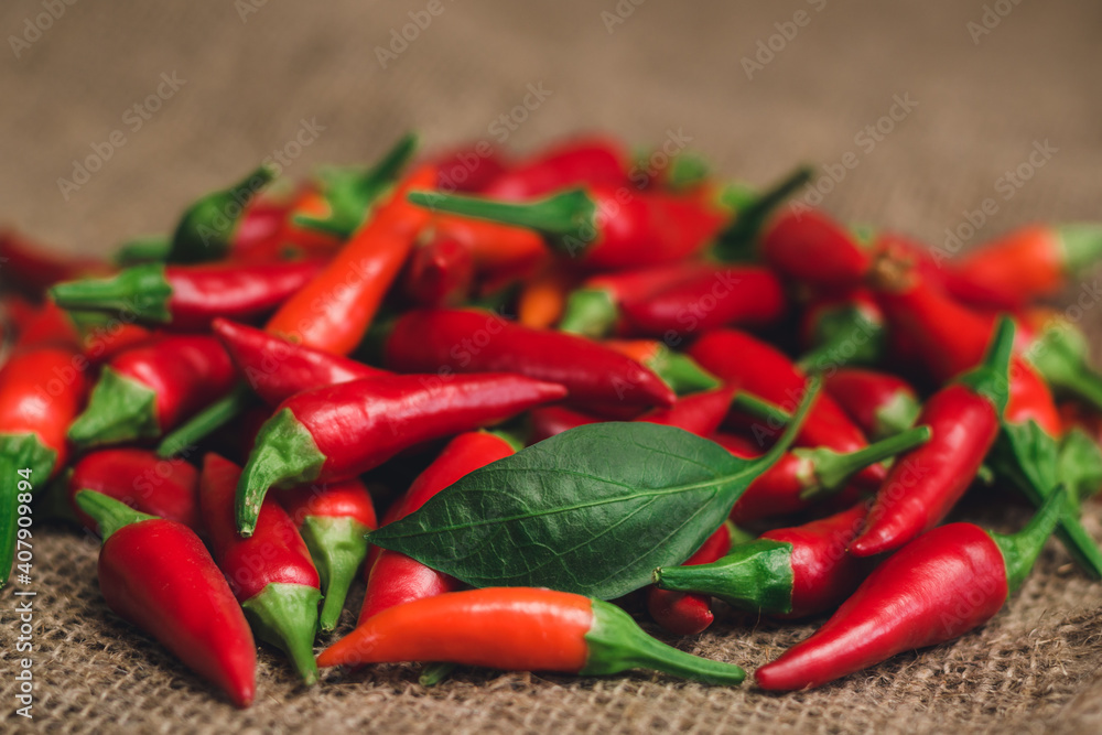 Small pile of red hot peppers and a green leaf on a coarse linen napkin, selective focus