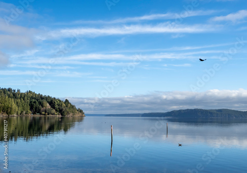 Day of Fog on the Hood Canal