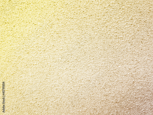 Wallpaper Mural Solid color plaster concrete wall texture background. Torontodigital.ca