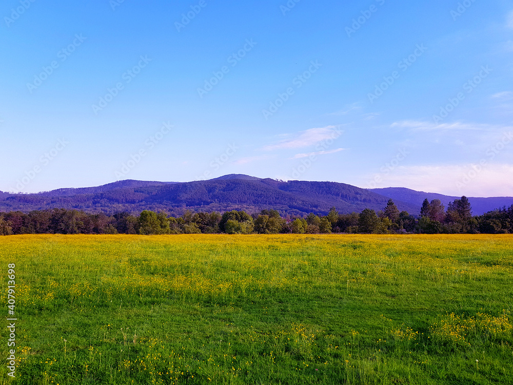 Mountain landscape natural travel background in the summer season