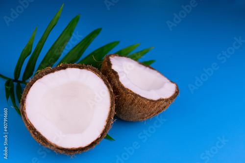 Coconut on a light blue background. Copy space.