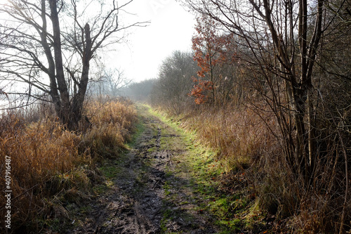 Matschiger Weg führt durch ein Feuchtgebiet