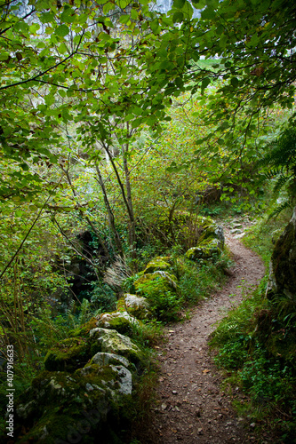 Senda en la Garganta del Río Casaño, Puente Pompedro, Concejo de Cabrales, Asturias