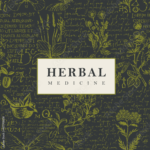 Vector banner or label for herbal medicine in retro style. Hand-drawn illustration with green medicinal herbs on and handwritten text Lorem Ipsum a black background