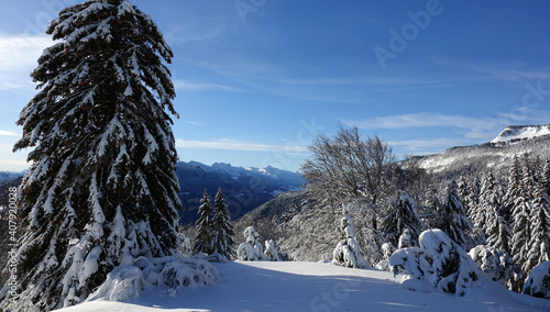 Fototapeta Naklejka Na Ścianę i Meble -  Randonnée raquettes en Janvier 2021 dans le massif du Vercors avec une neige et un temps exceptionnels
