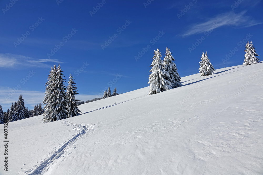 Fototapeta premium Randonnée raquettes en Janvier 2021 dans le massif du Vercors avec une neige et un temps exceptionnels