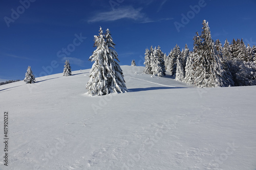 Randonnée raquettes en Janvier 2021 dans le massif du Vercors avec une neige et un temps exceptionnels © Patricia