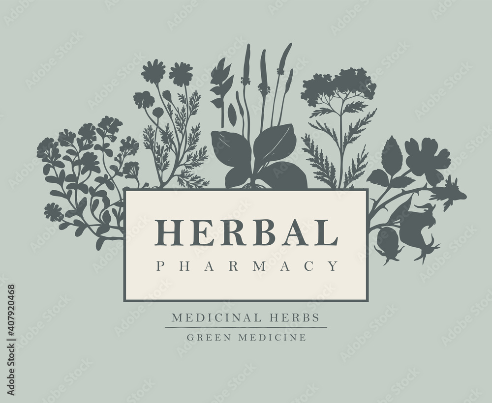 Vector banner or label with inscription Herbal pharmacy. Hand-drawn illustration with silhouettes of medicinal herbs on a grey background. Decorative frame with herbal flowers in retro style - obrazy, fototapety, plakaty 