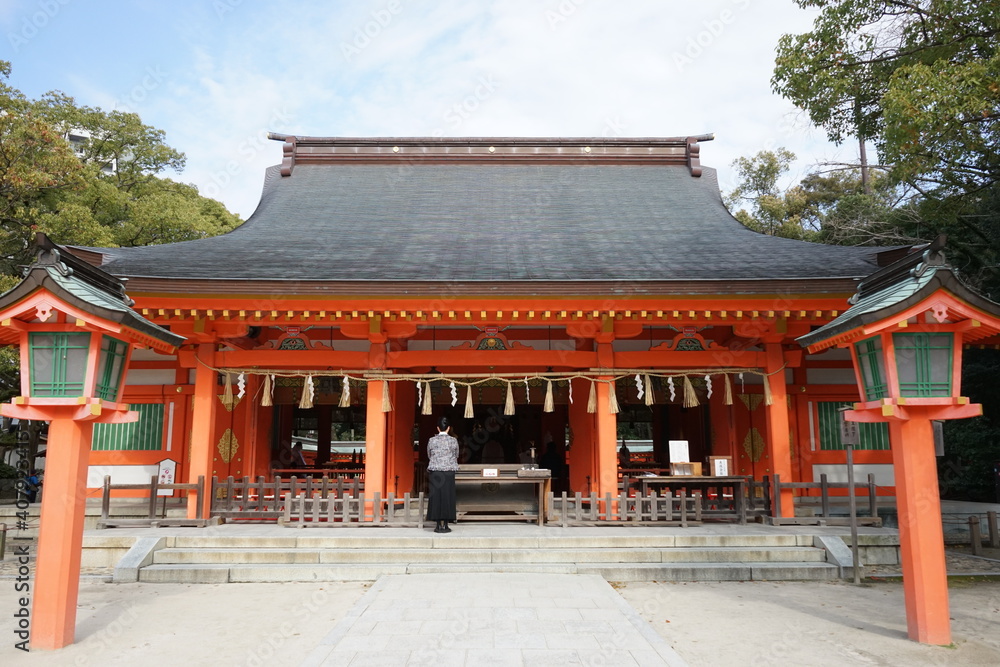 People praying at Pavilion or main Hall of Sumiyoshi jinjya or Shrine in Kyushu, Fukuoka prefecture, Japan -
住吉神社 御本殿 国指定重要文化財 福岡 九州 日本 People praying at Pavilion or main Hall of Sumiyoshi jinjya or Shrine in Kyushu, Fukuoka prefecture, Japan -
住吉神社 御本殿 国指定重要文化財 福岡 九州 日本