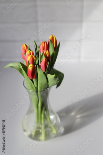 Glass vase with fresh colourful tulips on white table