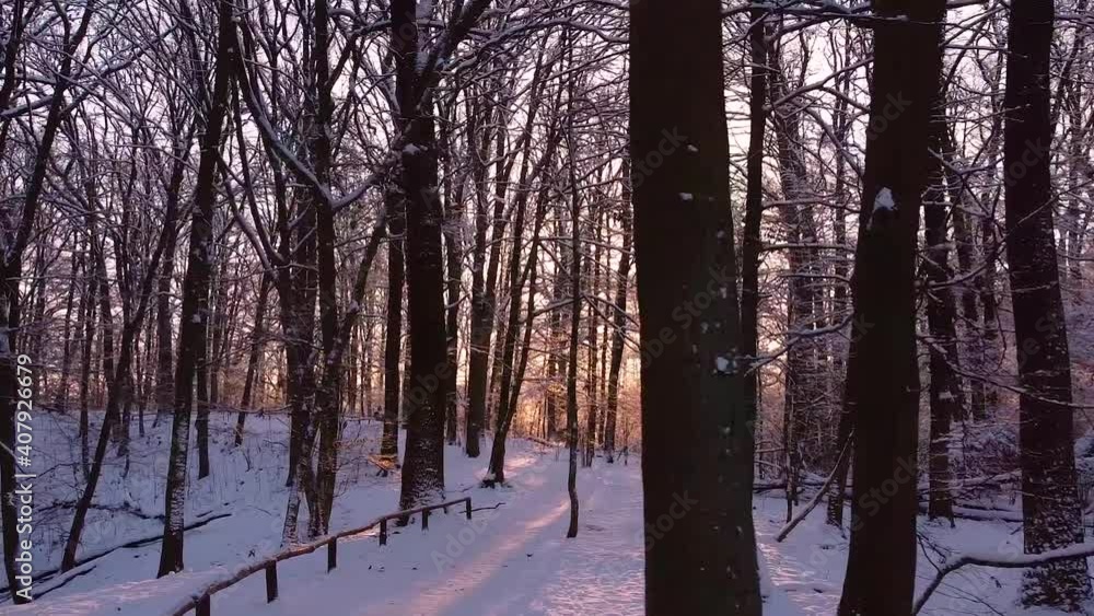 Forest covered in snow with the rising sun shining between trunks and branches looks like a winter wonderland. Sideways dolly. Forest covered in snow with the rising sun shining between trunks and branches looks like a winter wonderland. Sideways dolly.