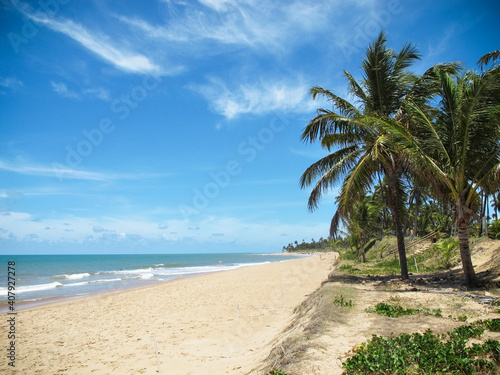 Vista panoramica di una costa tropicale con sabbia bianca e palme 