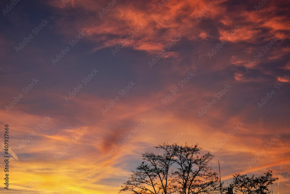 Kahle Baumkrone unten vor spannendem Sonnenuntergang in vielen Farben