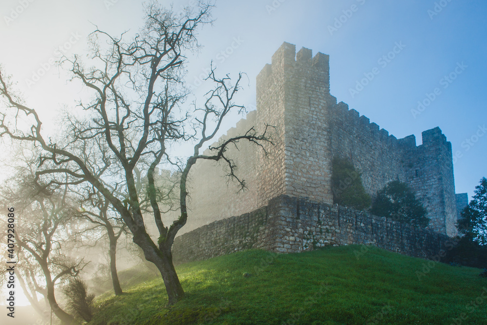 foggy morning at an old  castle