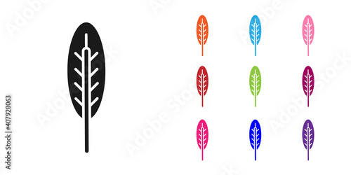 Black Indian feather icon isolated on white background. Native american ethnic symbol feather. Set icons colorful. Vector.