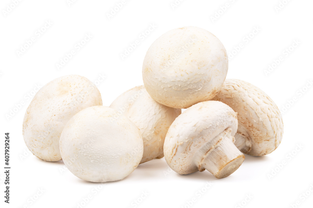 fresh group of mushroom isolated on white background fresh group of mushroom isolated on white background