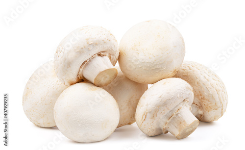 fresh group of mushroom isolated on white background