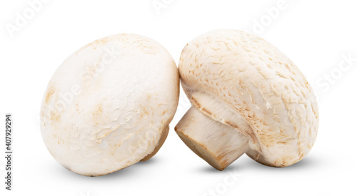 fresh group of mushroom isolated on white background