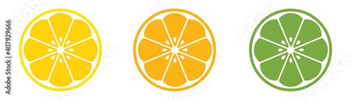 Citrus fruit slices icon set. Vector illustration