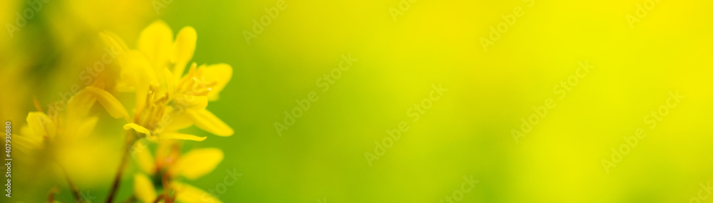 Concept nature view of yellow leaf on blurred greenery background in garden and sunlight with copy space using as background natural green plants landscape, ecology, fresh wallpaper concept.