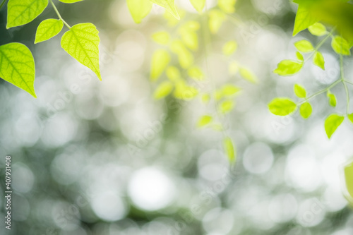 Concept nature view of green leaf on blurred greenery background in garden and sunlight with copy space using as background natural green plants landscape, ecology, fresh wallpaper concept. © Torkiat8