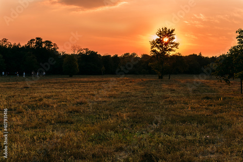 Sunset on a meadow, a beautiful sunset, some clouds, colorful, background out of focus