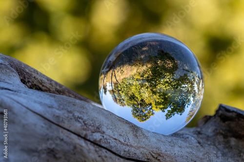 Landscape in a glass ball on a thick branch
