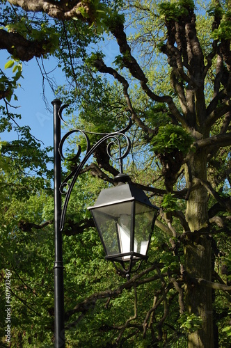 Park lamps, street lamps in Europe.