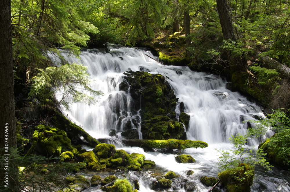 waterfall in the forest