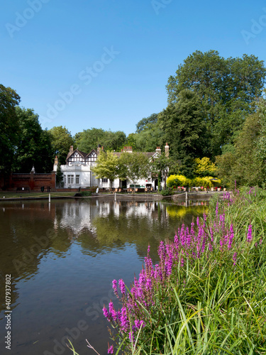 Europe, UK, England, London, Sutton, Carshalton pond