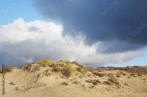 Sandy dunes with stormy clouds of Scheveningen