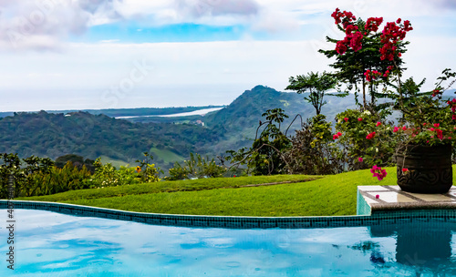 View of an infinity pool with colorful plants and grass.