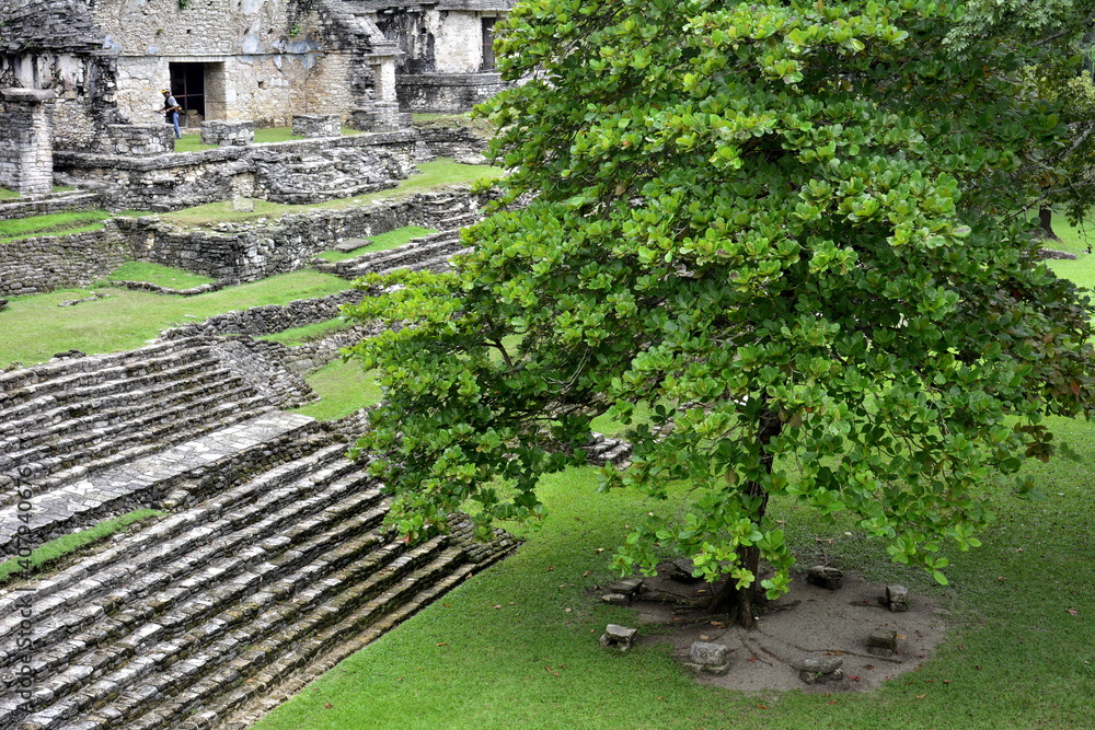 Paisajes y localizaciones de las ruinas mayas de Palenque, en el estado de Chiapas, en el sureste de Mejico Paisajes y localizaciones de las ruinas mayas de Palenque, en el estado de Chiapas, en el sureste de Mejico