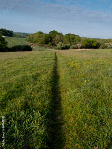 Europe, UK, England, Surrey, Epsom Downs footpath photo