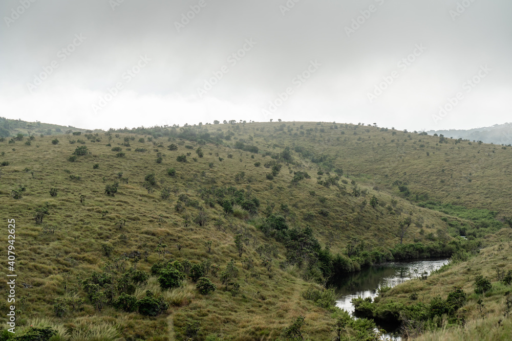 Fototapeta premium Blick auf grüne Wiesen und einen kleinen Bach im Horton Plains National Park im Hochland von Sri Lanka bei bewölktem Himmel