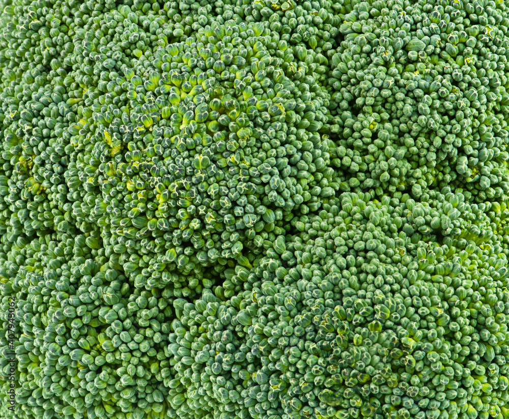 Background from fresh green broccoli, close-up.