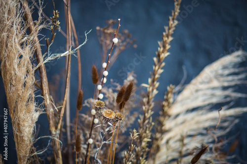 dried flowers against a gray textured wall