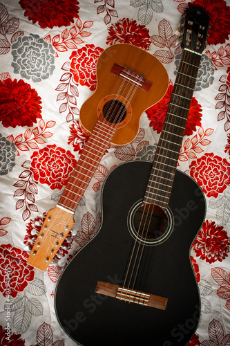 Charango and back guitar on floral pattern background