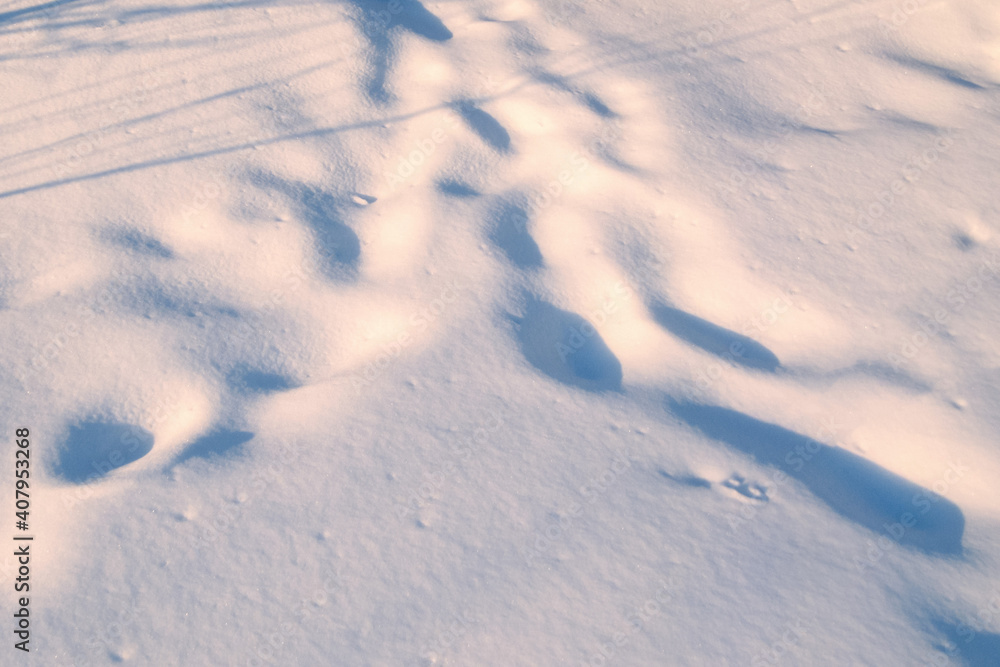 Shadows on the surface of the snow Shadows on the surface of the snow