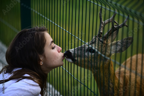 Canvas Print White-tailed roe in zoo cage