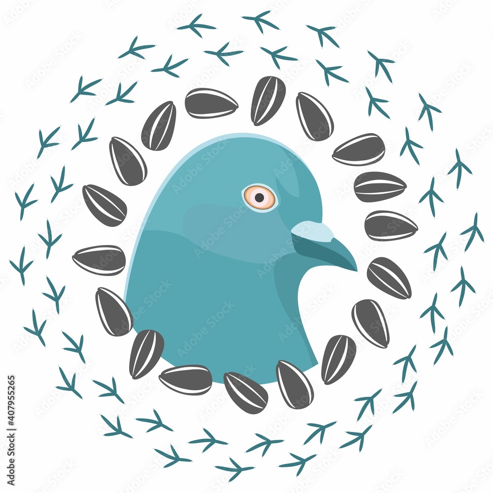 Obraz premium The head of a turquoise dove in a circle of seeds and bird foot prints. Vector dove isolated on a white background.