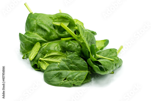 Young spinach isolated on white background