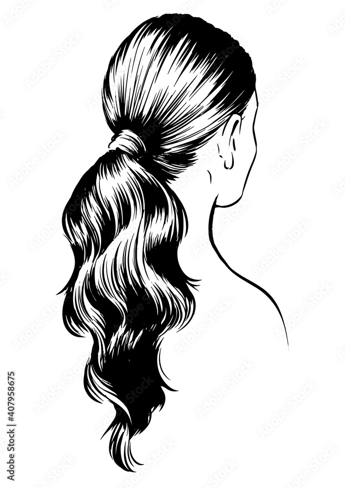 stylish woman with ponytail. fashion illustration stylish woman with ponytail. fashion illustration