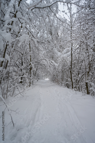 Waldweg im Schnee © Alexander