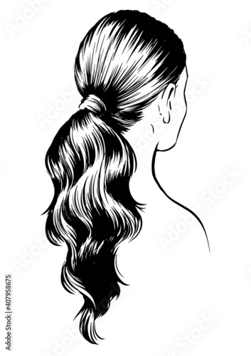 stylish woman with ponytail. fashion illustration