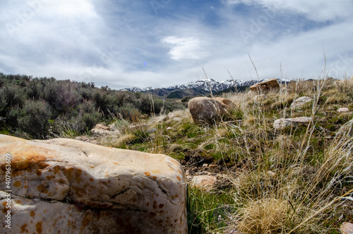 Closeup of dry grass, stones, and plants in the background of Oquirrh Mountains, Utah
