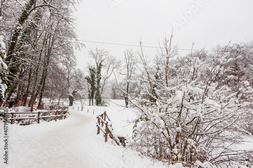 Arlesheim, Ermitage, Wanderweg, See, Winter, Schnee, Schneedecke, Seeufer, Schilf, Winterwanderung, Wald, Eis, Eisfläche, Baselland, Schweiz 