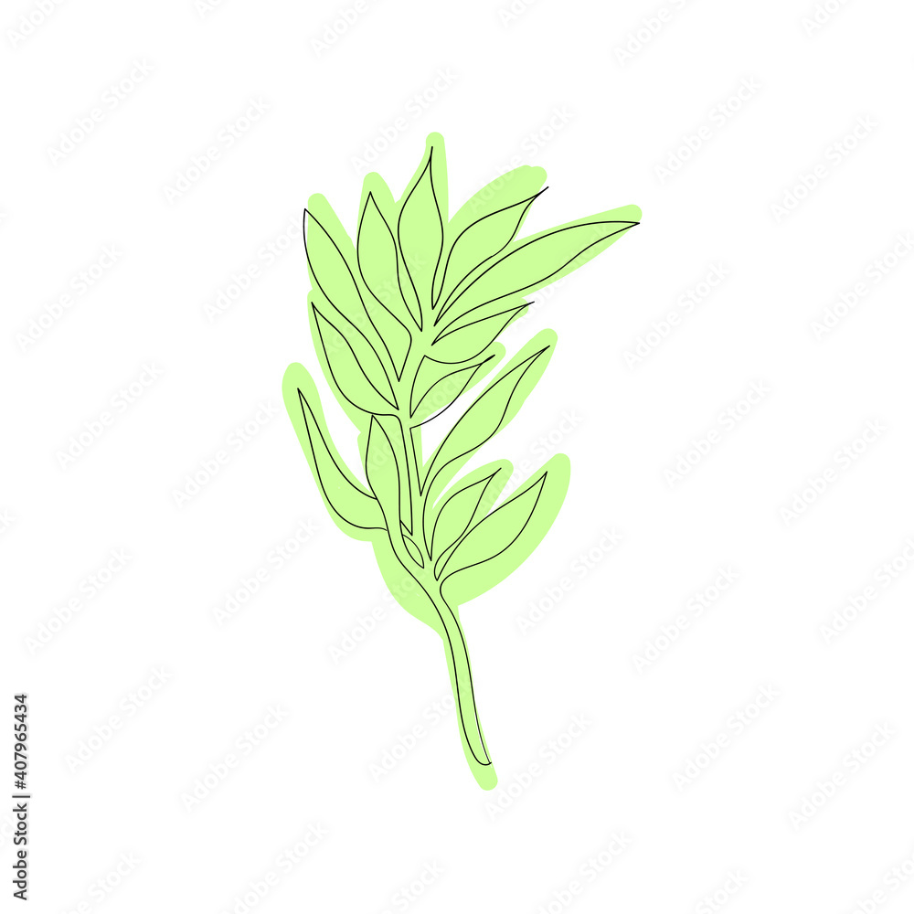 Naklejka premium Green leaf on white background